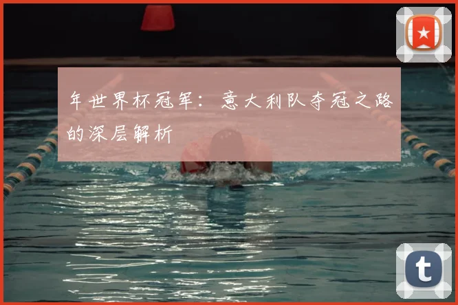 年世界杯冠军：意大利队夺冠之路的深层解析