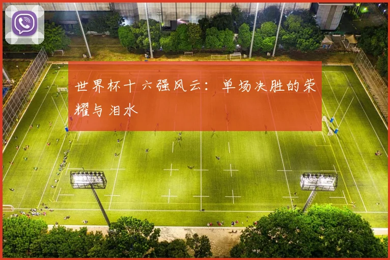 世界杯十六强风云：单场决胜的荣耀与泪水