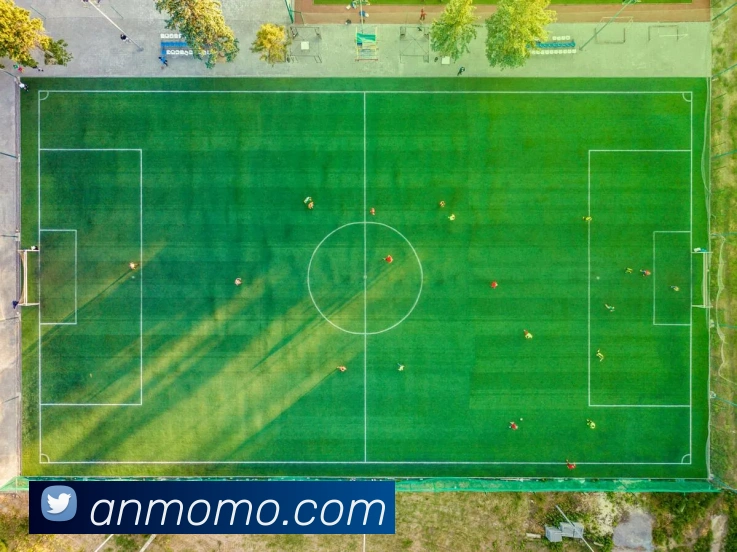 开云手机入口官方网站发展历程